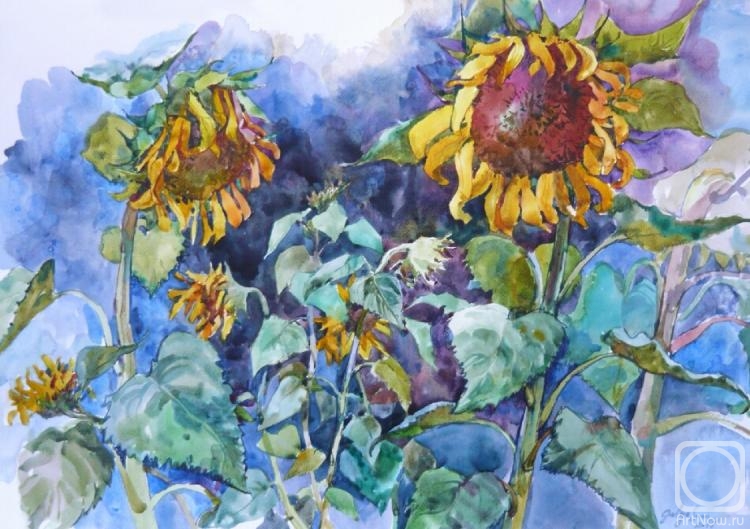 �������. ����������� ������. ����������