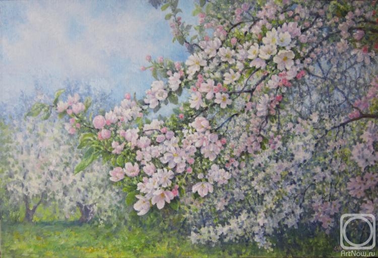 ������� ������ �� ������. ������ �����. ������ ������