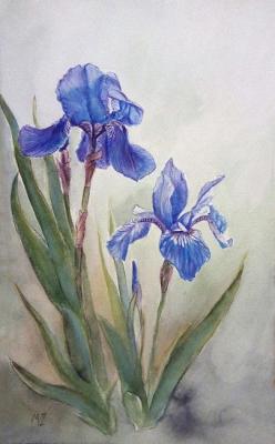 Irises. Zozoulia Maria