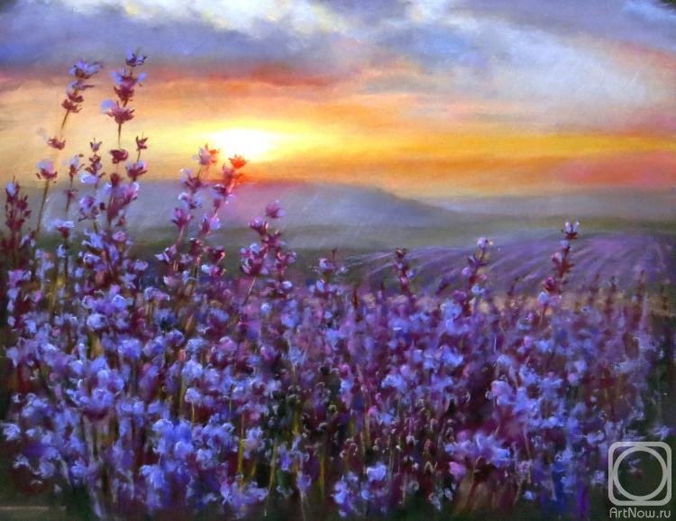 Konyuhova Natalia. Lavender sunset