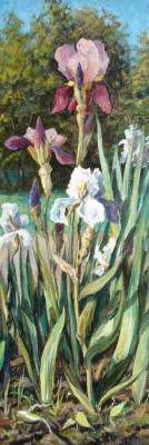 Irises. Kovalevscky Andrey