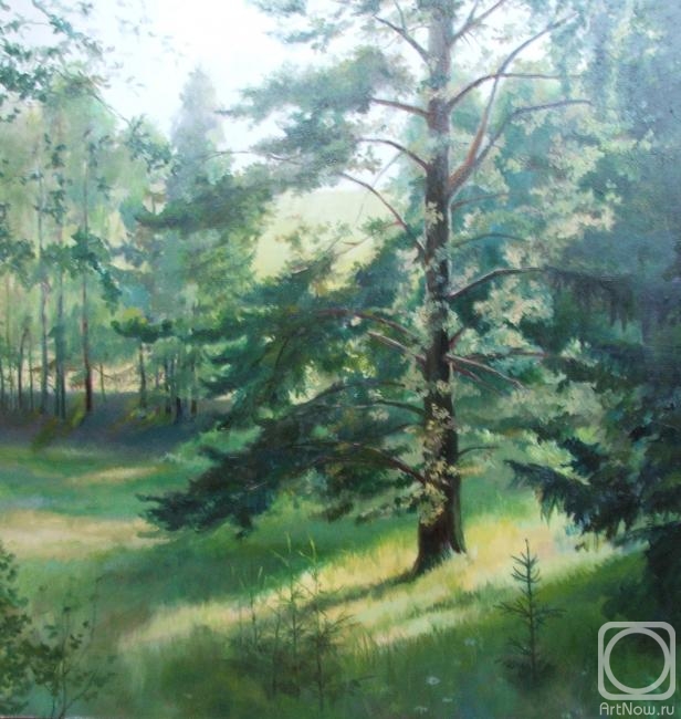 ������� ������ �� ������. �������� �������. ���������� ���. ����