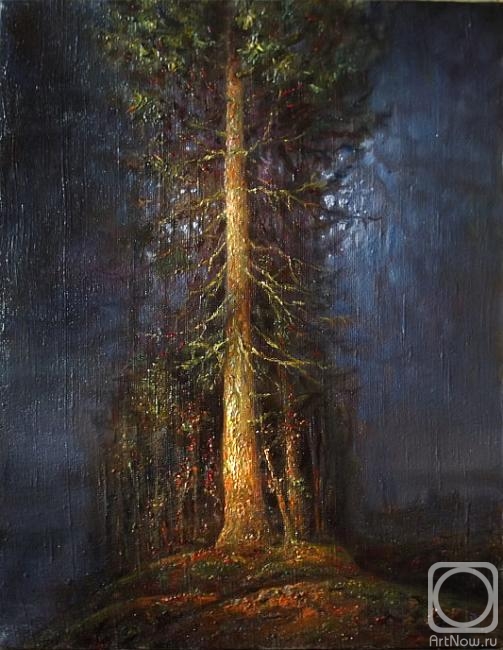 ������� ������ �� ������. ������ �����. ������ ���