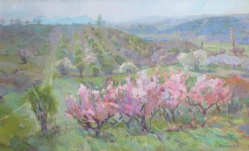 ������� ��������� ���