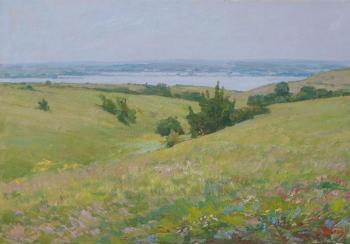 The hills in the Volga. Panov Igor