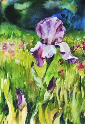 ���� � �������. ��������� ����