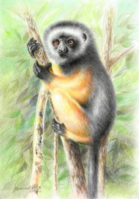 ������� ����������� ������