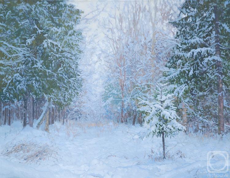 Kozhin Simon. Winter Forest
