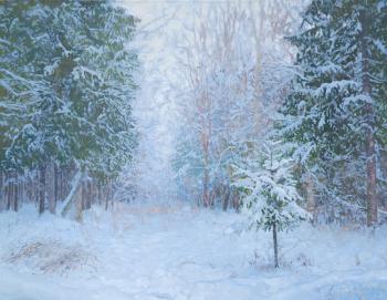 Winter Forest. Kozhin Simon