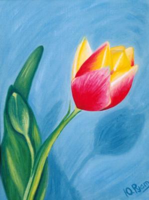 ������� ���������