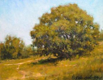 On the hillside... Noon... (etude)