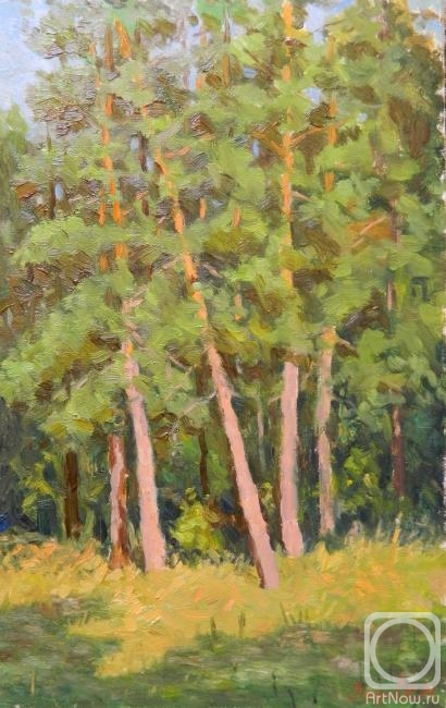 ������� ������ �� ������. ����� ������. ���� � �����������