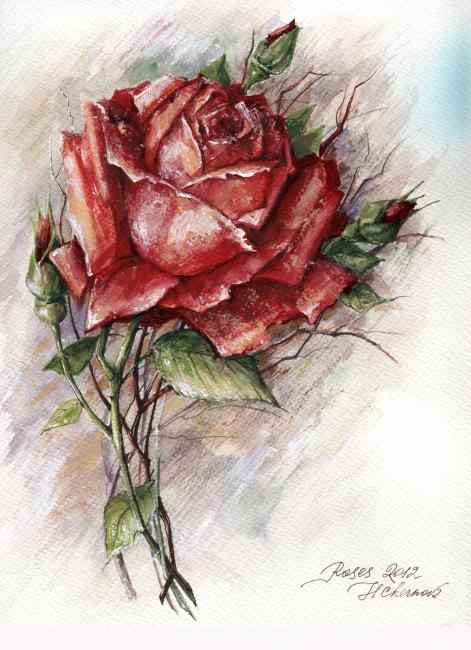 Chernova Helen. Roses 2