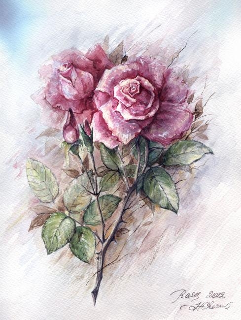 Chernova Helen. Roses 1