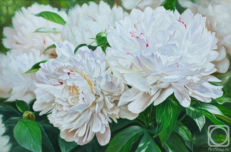 ������� ������ �� ������. ������ ������. �����