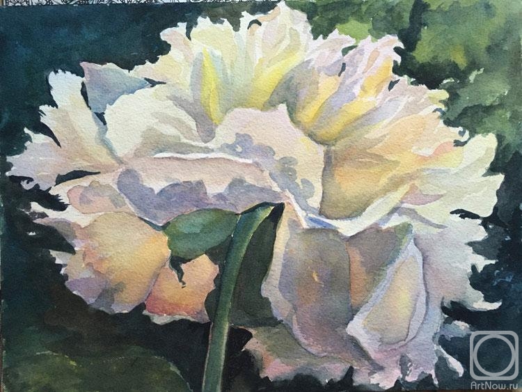 �������. ���������� �����. ������. �� ���� �� ���������