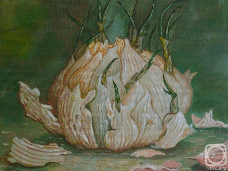 Klenov Andrei. last year's garlic