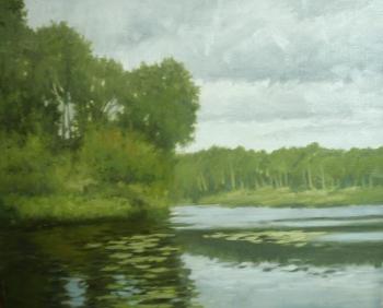 Bay in Strogino Pasmurno