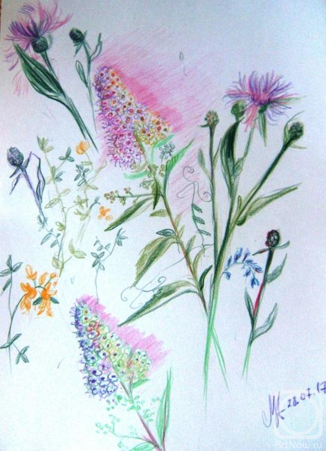 Medvedeva Maria. Wildflowers