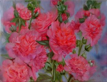 ������� �����-�����