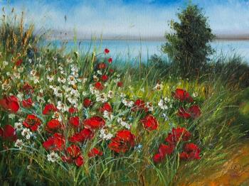 Summer meadow. Poppies and chamomiles