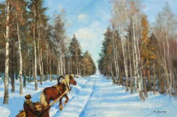 Winter road, horse