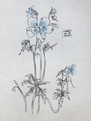 The Flower. Karashkevich Inga