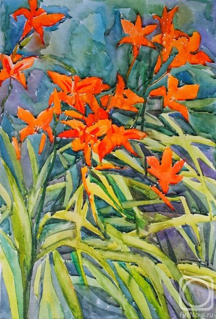 �������. ��������� ��������. �����