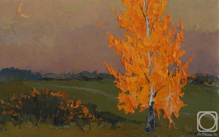 ������� ������ �� ������. ���������� �������. ������ ���� �����