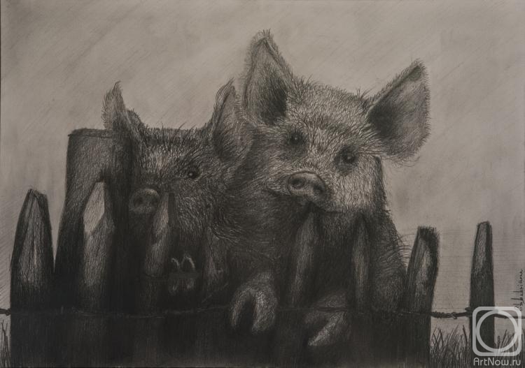 �������. ���������� �������. ������