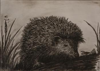 Hedgehog. Maksimenko Vitaliy