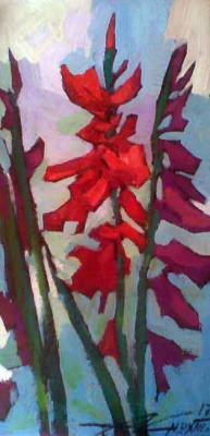 ������� ���i��