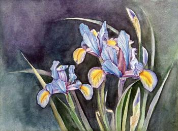 Iris (Painting Blue Iris). Zozoulia Maria