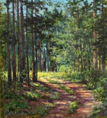 Forest Road (etude)