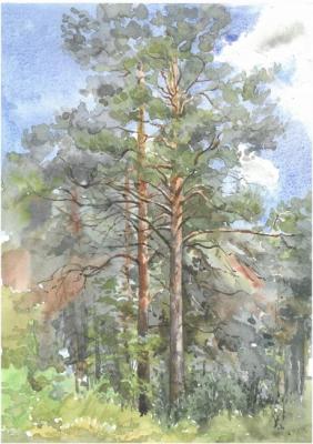 �����. �������� ����