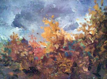 ������� ���������