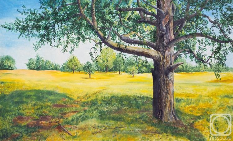 ������� ������ �� ������. ������ ����. �������� ����