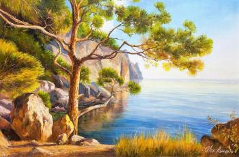 Pine tree on the sea shore. Romm Alexandr