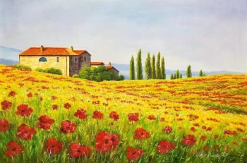 Poppy field. Italy. Romm Alexandr