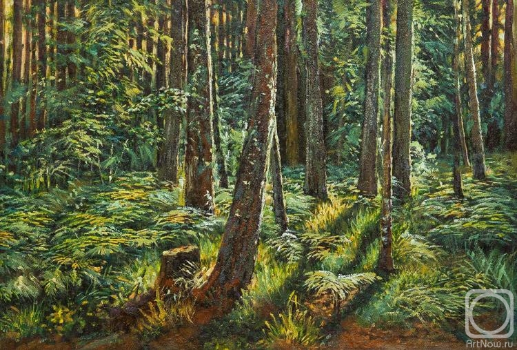 Kamskij Savelij. Copy of painting Ivan Shishkin "Ferns in a forest"
