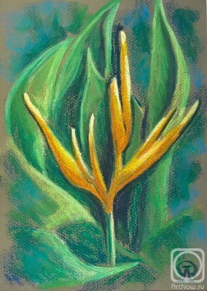 �������. �������� ������. ��������� (c����)