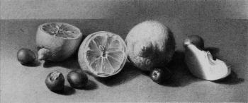 Lemons. Kushevsky Yury
