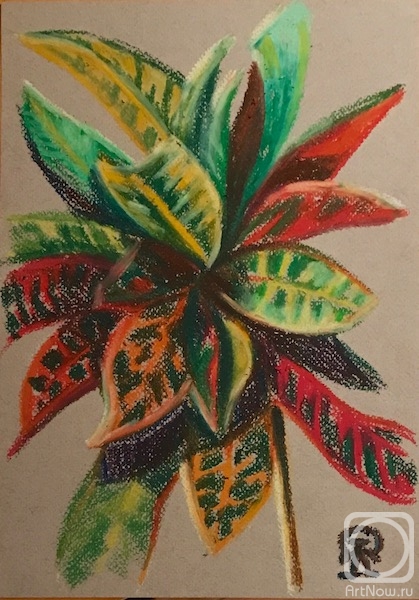 Lukaneva Larissa. Plant (sketch)