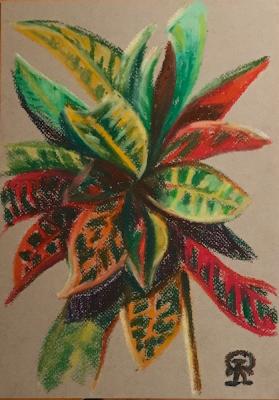Plant (sketch). Lukaneva Larissa
