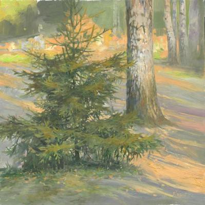 ������ (������ � �������). ������ �����