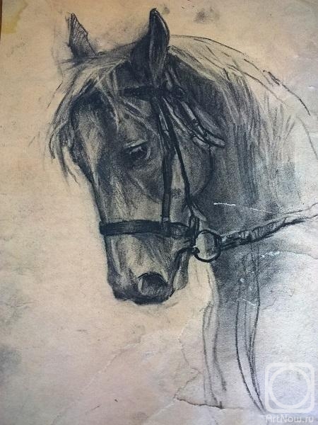 Biryukova Lyudmila. Portrait of a horse