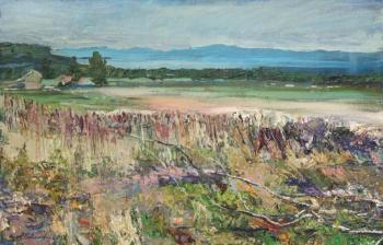 ������� ���� �� ���� ���� ����������