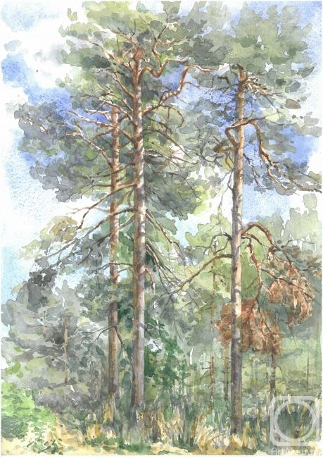 �������. �������� ����. ����� � ������