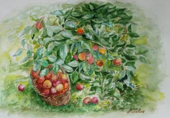 ������� ��������� ����