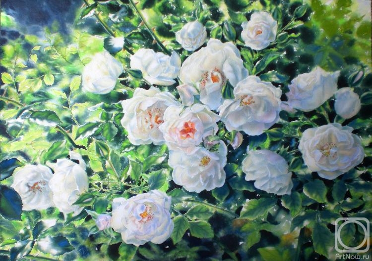 Golubkin Sergey. Bush of white roses